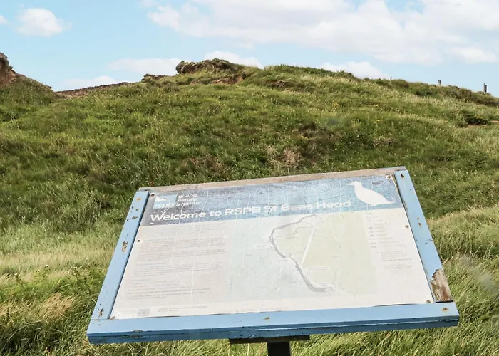 Sandpiper סנט ביז