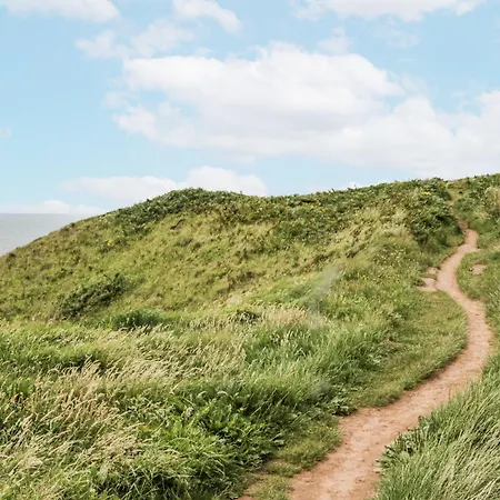 Sandpiper 세인트 비즈