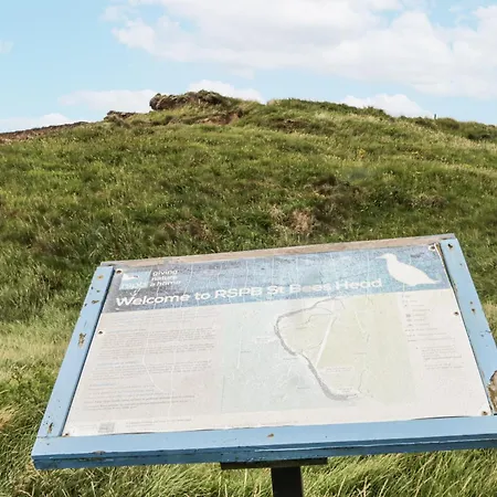 Sandpiper 세인트 비즈